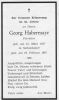 0053_Georg Habermayr 1877-1967_stb.jpg