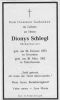 0212_Dionys Schlegl 1873-1962_stb.jpg
